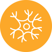 Metabolic Health Center